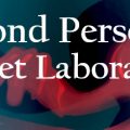 Second Person Secret Laboratory Download Free PC Game