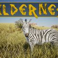 Wilderness Download Free PC Game Direct Play Link