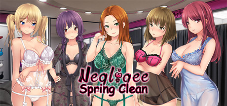Negligee Spring Clean Download Free PC Game Link