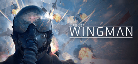 Project Wingman Download Free PC Game Direct Link