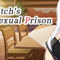 The Witchs Sexual Prison Download Free PC Game